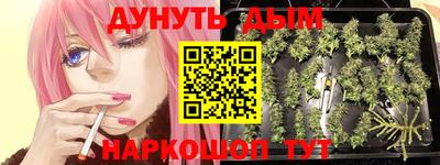 гидра Ивантеевка