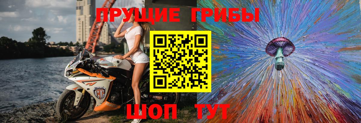 Алатырь  Галлюциногенные грибы Cubensis  Вход с VPN 