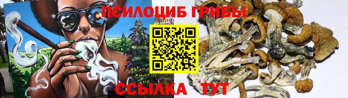 Псилоцибиновые грибы мицелий Алатырь